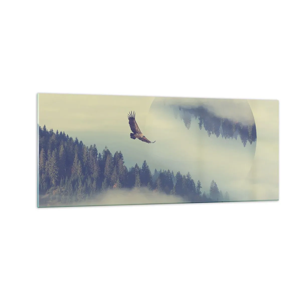 Impression sur verre - Image sur verre - J'ai vu l'ombre d'un aigle - 100x40 cm