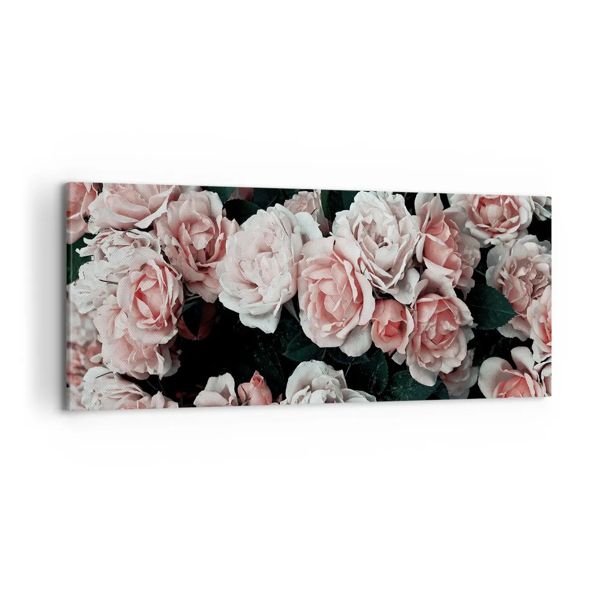 Impression sur toile - Image sur toile - Roses roses sur fond sombre dans une composition subtile - 120x50cm - Ensemble de rose - Décoration murale moderne pour le salon et la chambre ARTTOR