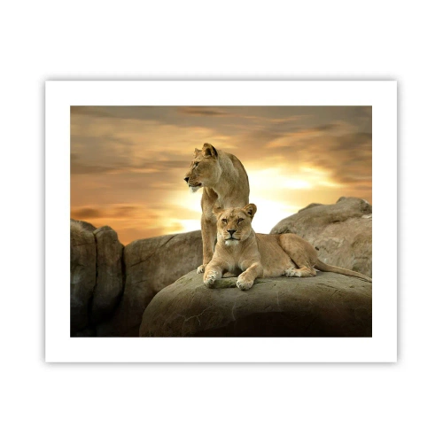 Affiche - Poster - Majesté royale - 50x40 cm