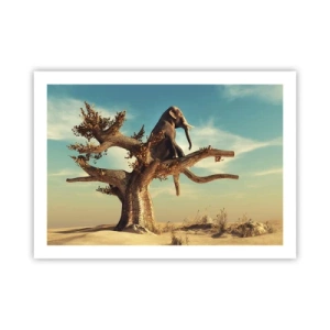 Affiche - Poster - Nouveau point de vue - 70x50 cm