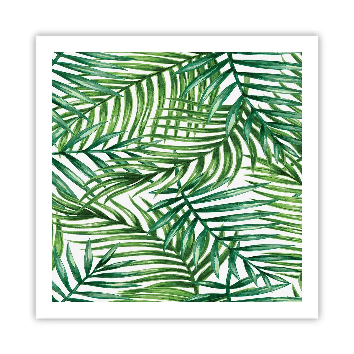 Affiche - Poster - Sous la canopée verte - 60x60 cm