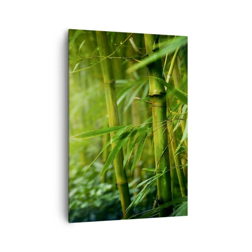 Impression sur toile - Image sur toile - Forêt de bambous verts dans une lumière douce - 70x100cm - Apprenez à connaître le vert lui-même - Décoration murale moderne pour le salon et la chambre ARTTOR