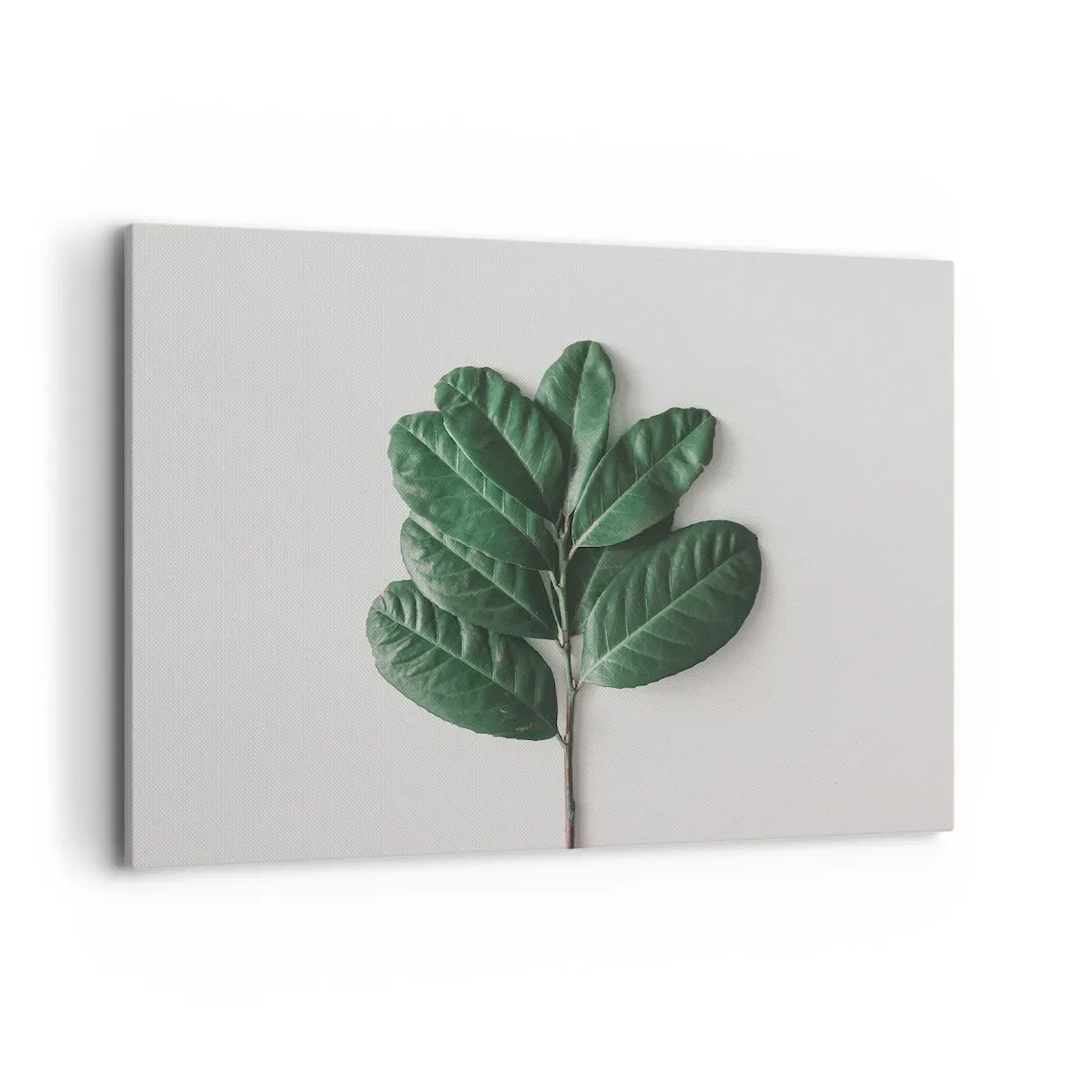 Impression sur toile - Image sur toile - Un brin de feuilles vertes sur un fond clair - 100x70cm - Dessin de la nature elle-même - Décoration murale moderne pour le salon et la chambre ARTTOR