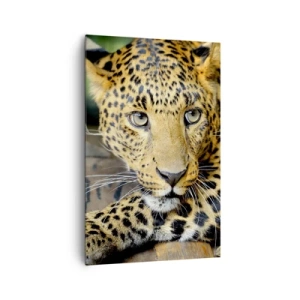 Impression sur toile - Image sur toile - Portrait d'un léopard dans son environnement naturel - 80x120cm - N'aie pas peur, viens - Décoration murale moderne pour le salon et la chambre ARTTOR