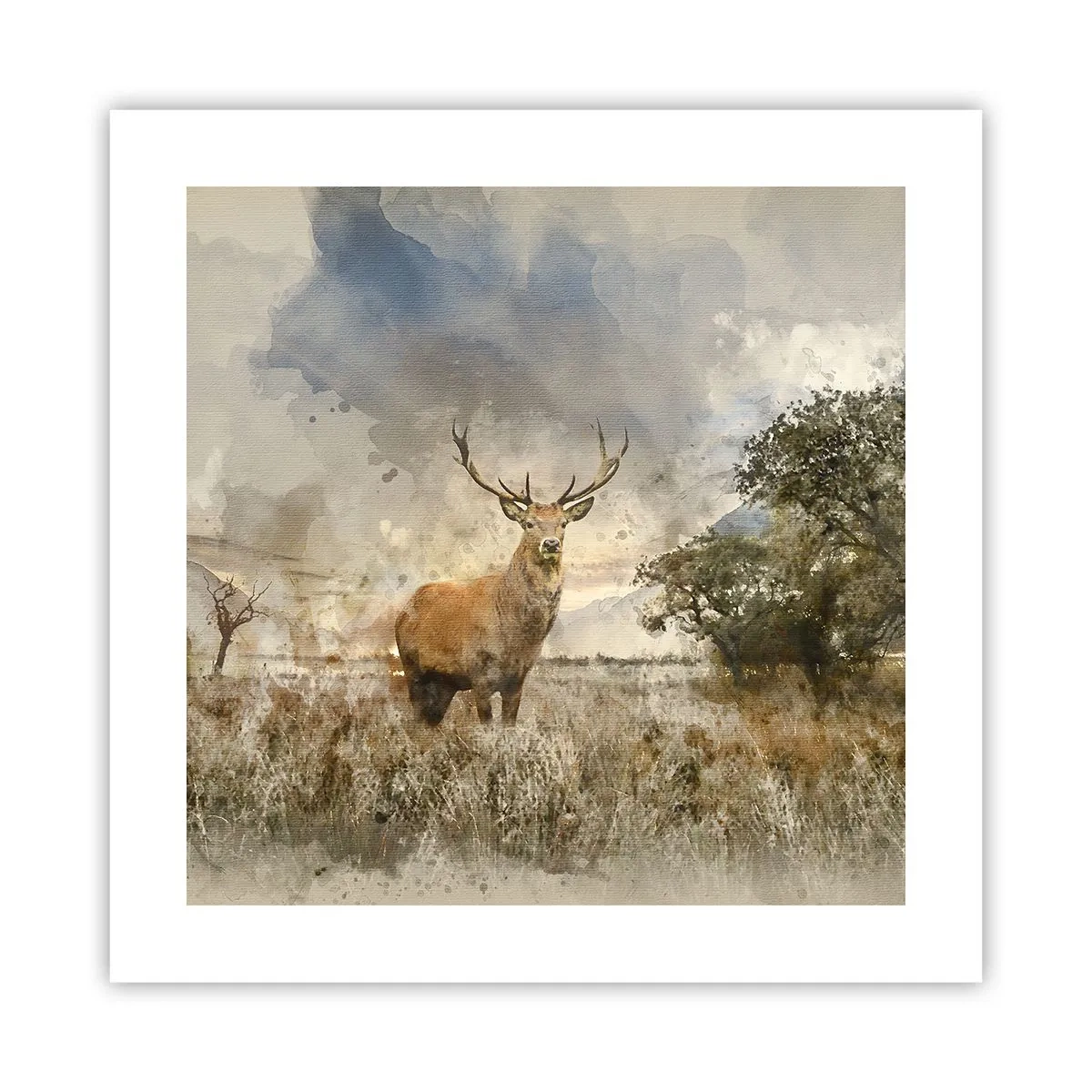 Affiche - Poster - Dignité - force - majesté - 40x40 cm