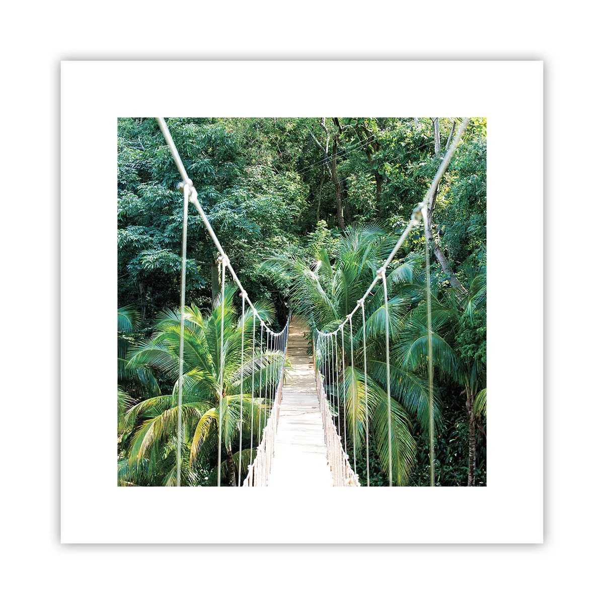 Affiche - Poster - Welcome to the jungle! - 30x30 cm