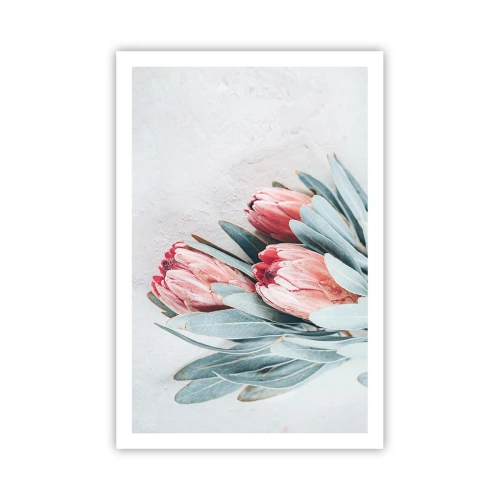 Affiche - Poster - Honte de leur propre beauté - 61x91 cm