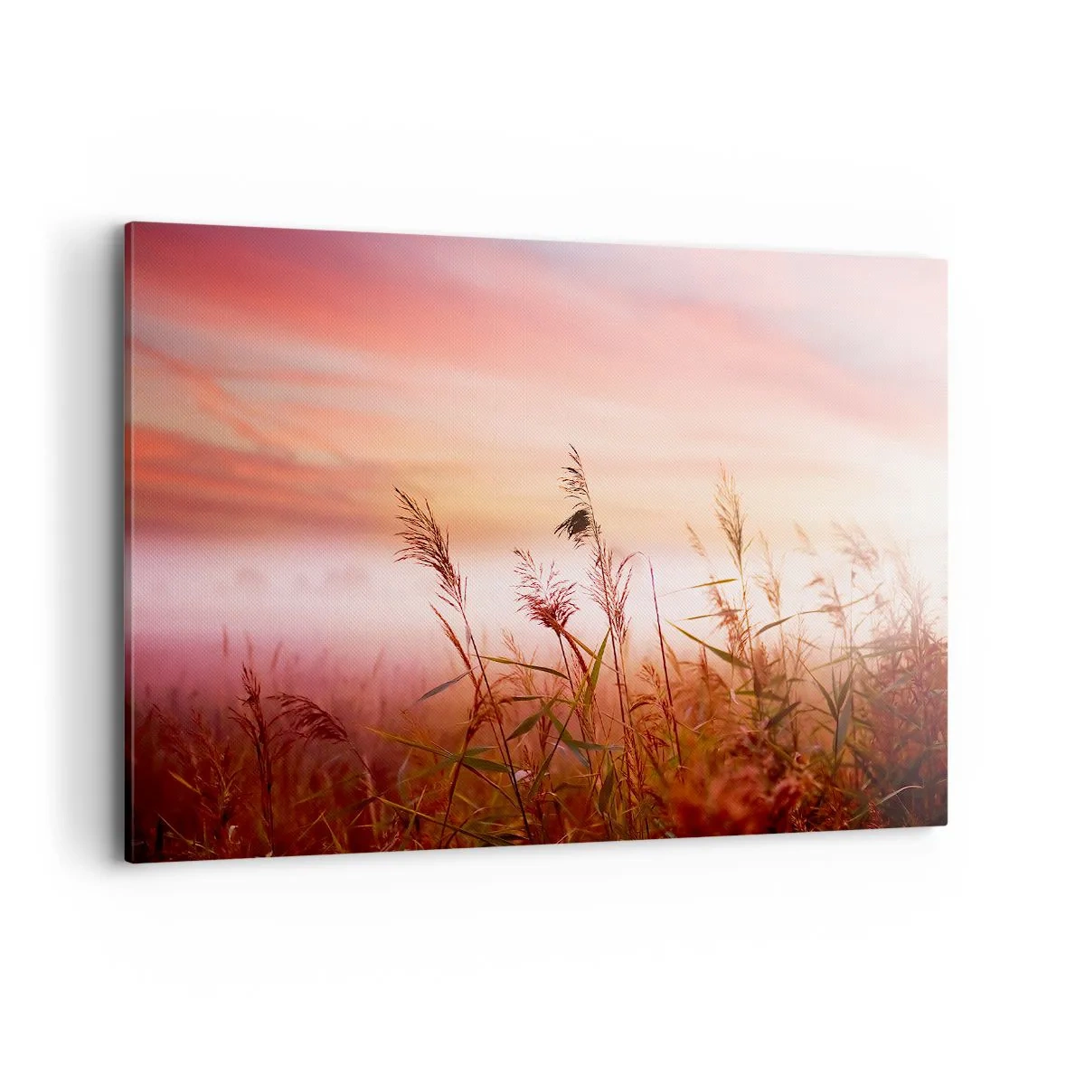 Impression sur toile - Image sur toile - Un champ d'herbe sur fond de coucher de soleil pittoresque - 120x80cm - Cerfs-volants, pissenlits, vent - Décoration murale moderne pour le salon et la chambre ARTTOR