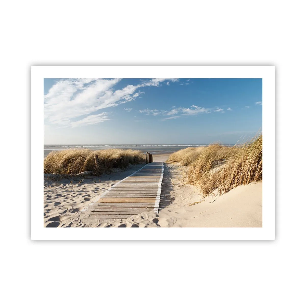 Affiche - Poster - Derrière la dune, dans le bruissement de l'herbe - 70x50 cm