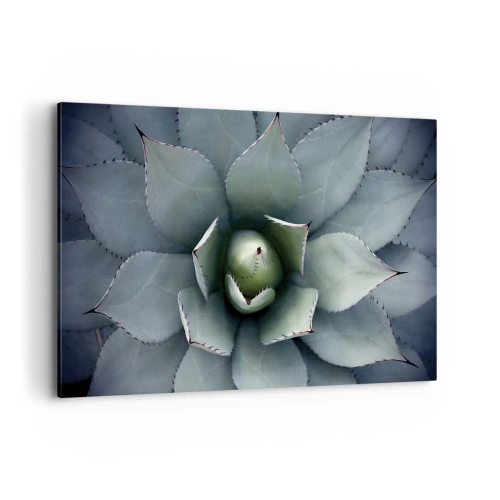 Impression sur toile - Image sur toile - Gros plan d'une rosette d'agave aux délicates nuances de vert - 120x80cm - Wabi et observe - Décoration murale moderne pour le salon et la chambre ARTTOR