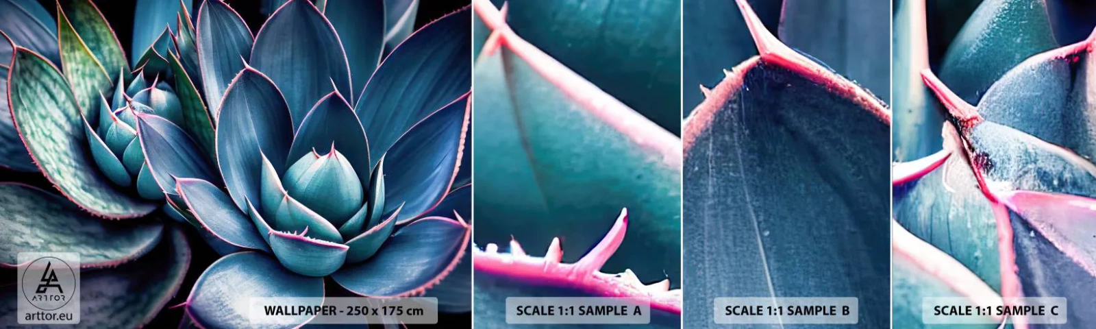 Échantillon De Papier Peint Standard Eco - Force vital - Fleurs, Botanique, Plantes succulentes - 100x30 cm