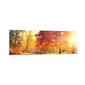 Impression sur verre - Image sur verre - Parc d'automne illuminé par la lumière du soleil - 160x50cm - Le roux est beau - Décoration murale moderne pour le salon et la chambre ARTTOR