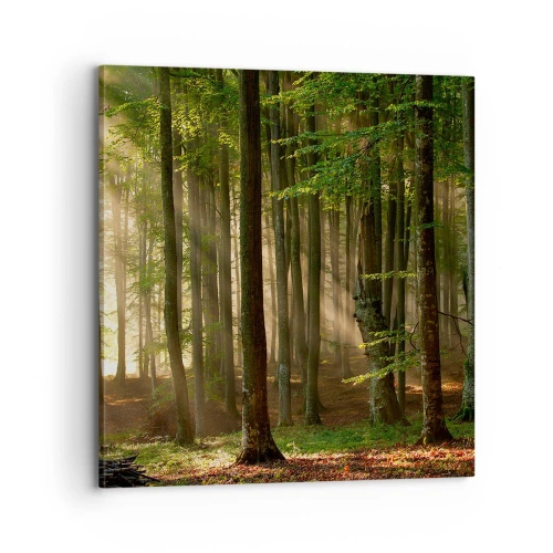 Impression sur toile - Image sur toile - Rayon d'un matin de printemps - 70x70 cm