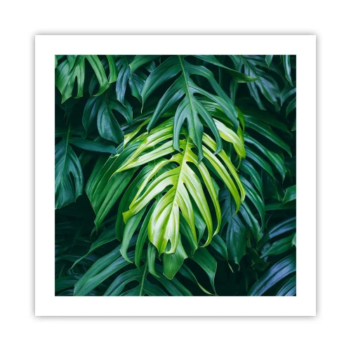 Affiche - Poster - Immergez-vous dans la fraîcheur - 50x50 cm