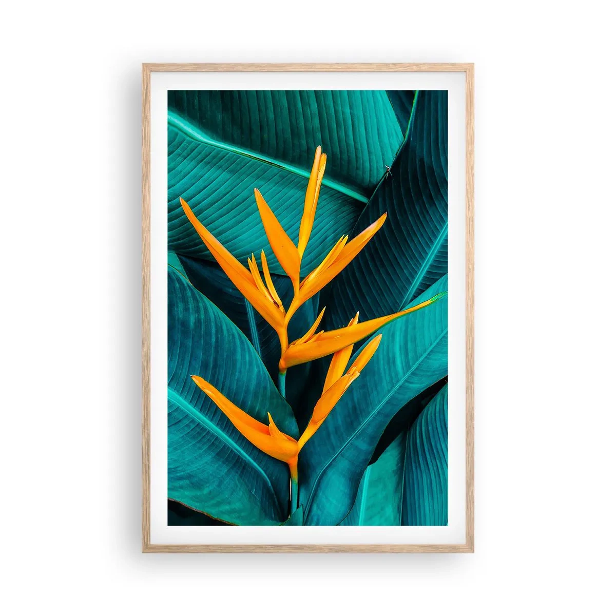 Affiche dans un chêne clair - Poster - Fleur d'Eden - 61x91 cm