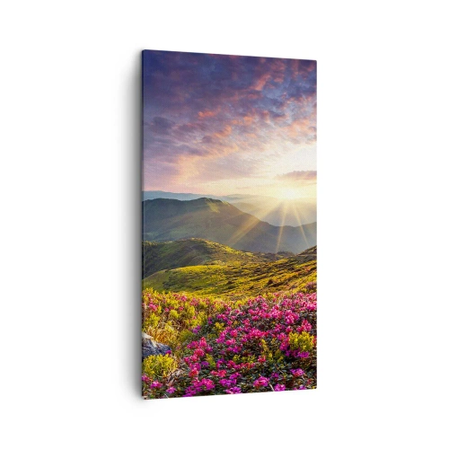 Impression sur toile - Image sur toile - Fraîcheur matinale en montagne - 45x80 cm