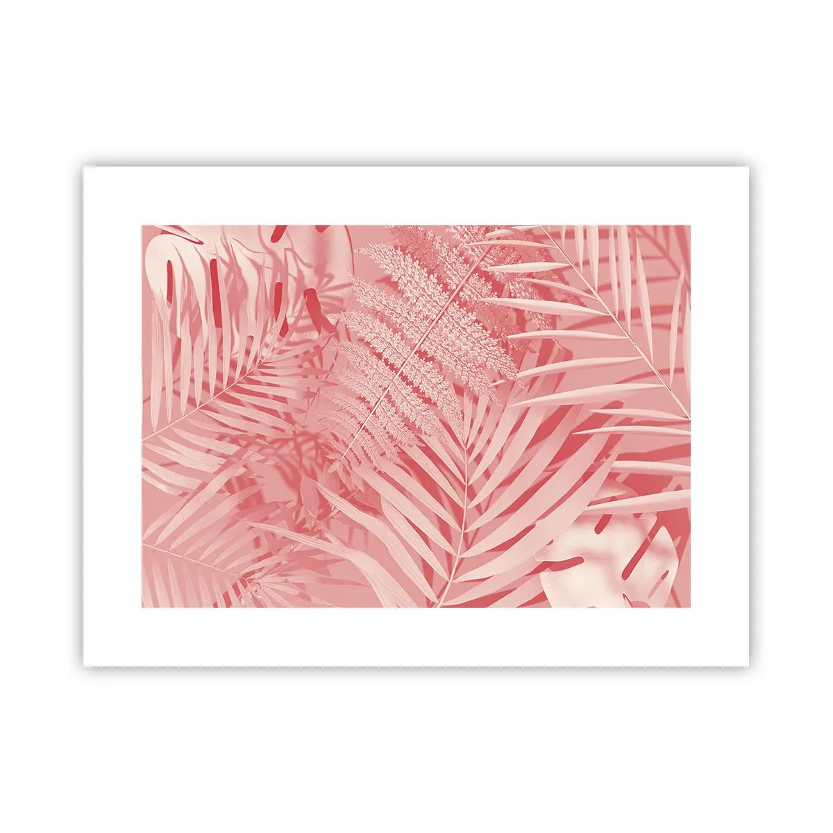 Affiche - Poster - Concept de rose - 40x30 cm