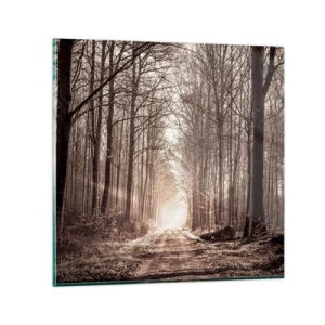 Impression sur verre - Image sur verre - Cathédrale de la forêt - 50x50 cm