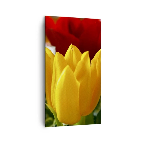 Impression sur toile - Image sur toile - La fièvre des tulipes - 45x80 cm