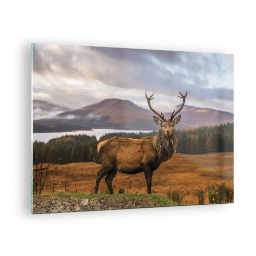 Impression sur verre - Image sur verre - Cerf sur fond de montagnes et de forêts pittoresques - 70x50cm - Majesté de la nature - Décoration murale moderne pour le salon et la chambre ARTTOR