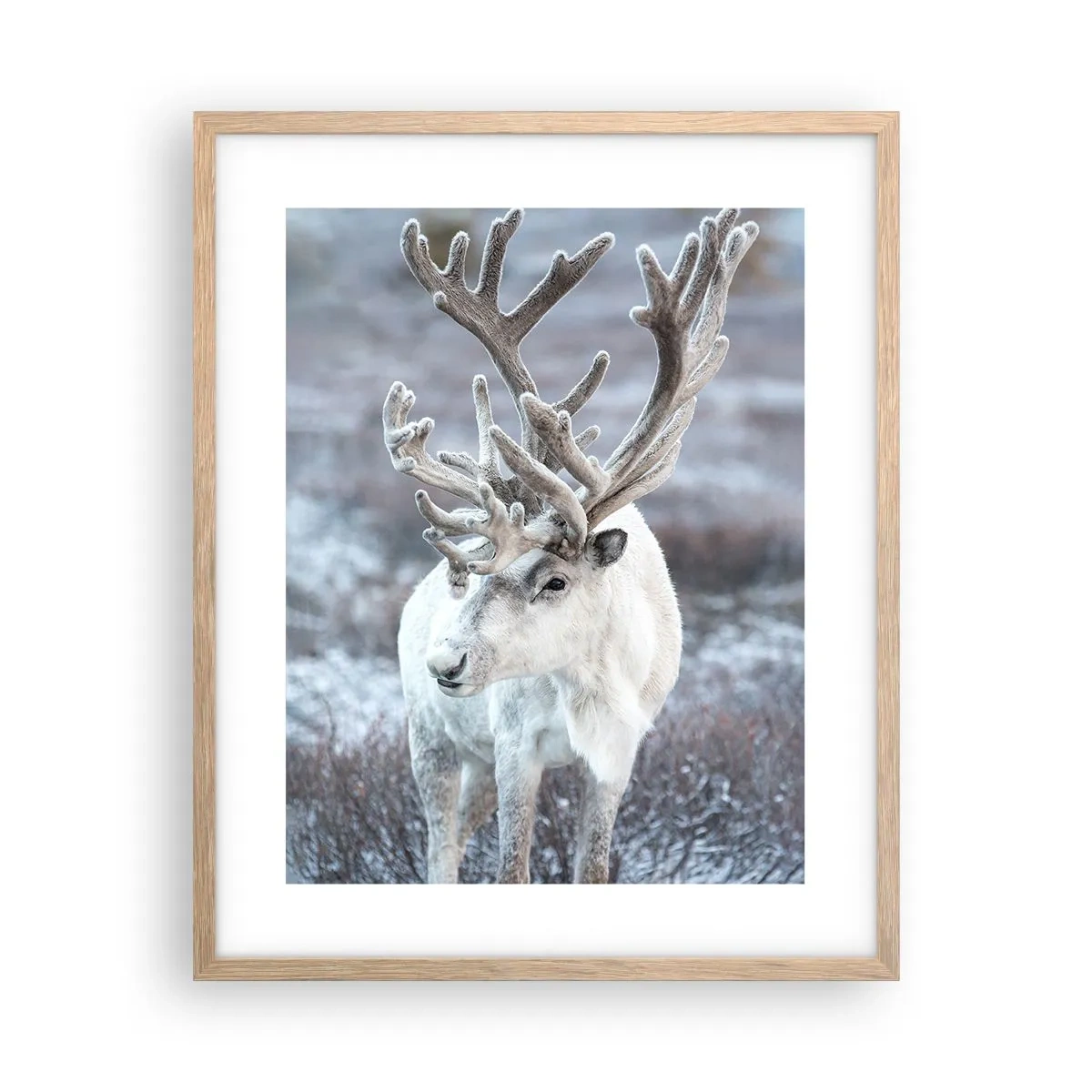 Affiche dans un chêne clair - Poster - Portrait au soleil - 40x50 cm