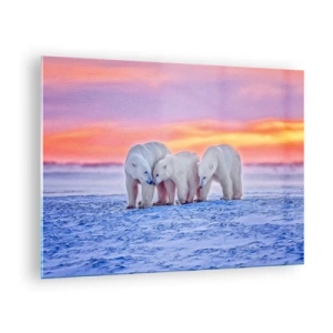 Impression sur verre - Image sur verre - Trois ours polaires sur un fond enneigé au coucher du soleil - 70x50cm - La chaleur familiale suffit - Décoration murale moderne pour le salon et la chambre ARTTOR