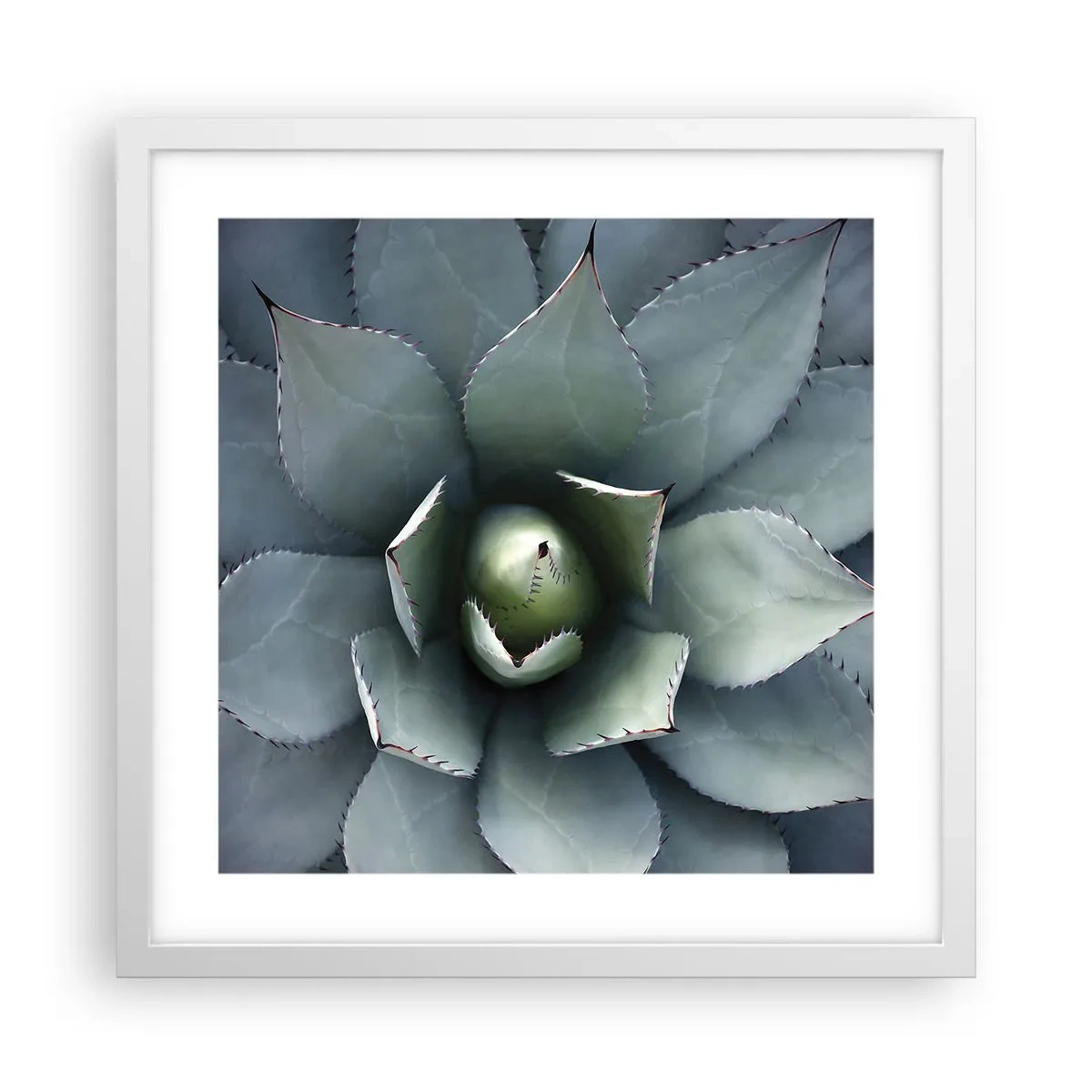 Affiche dans un cadre blanc - Poster - Wabi et observe - 40x40 cm