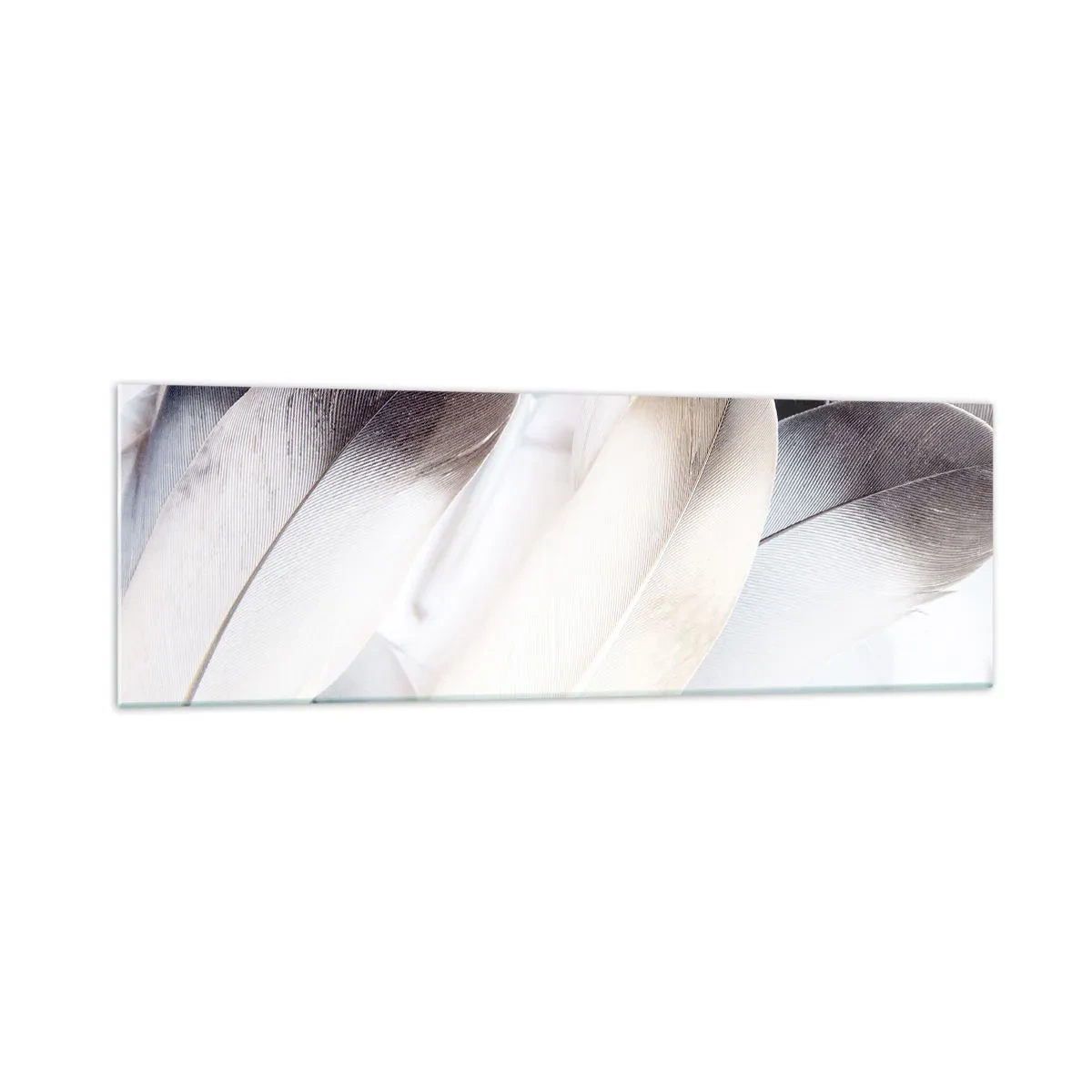 Impression sur verre - Image sur verre - Gros plan de plumes délicates dans des tons de blanc et de gris - 160x50cm - Presque angélique - Décoration murale moderne pour le salon et la chambre ARTTOR