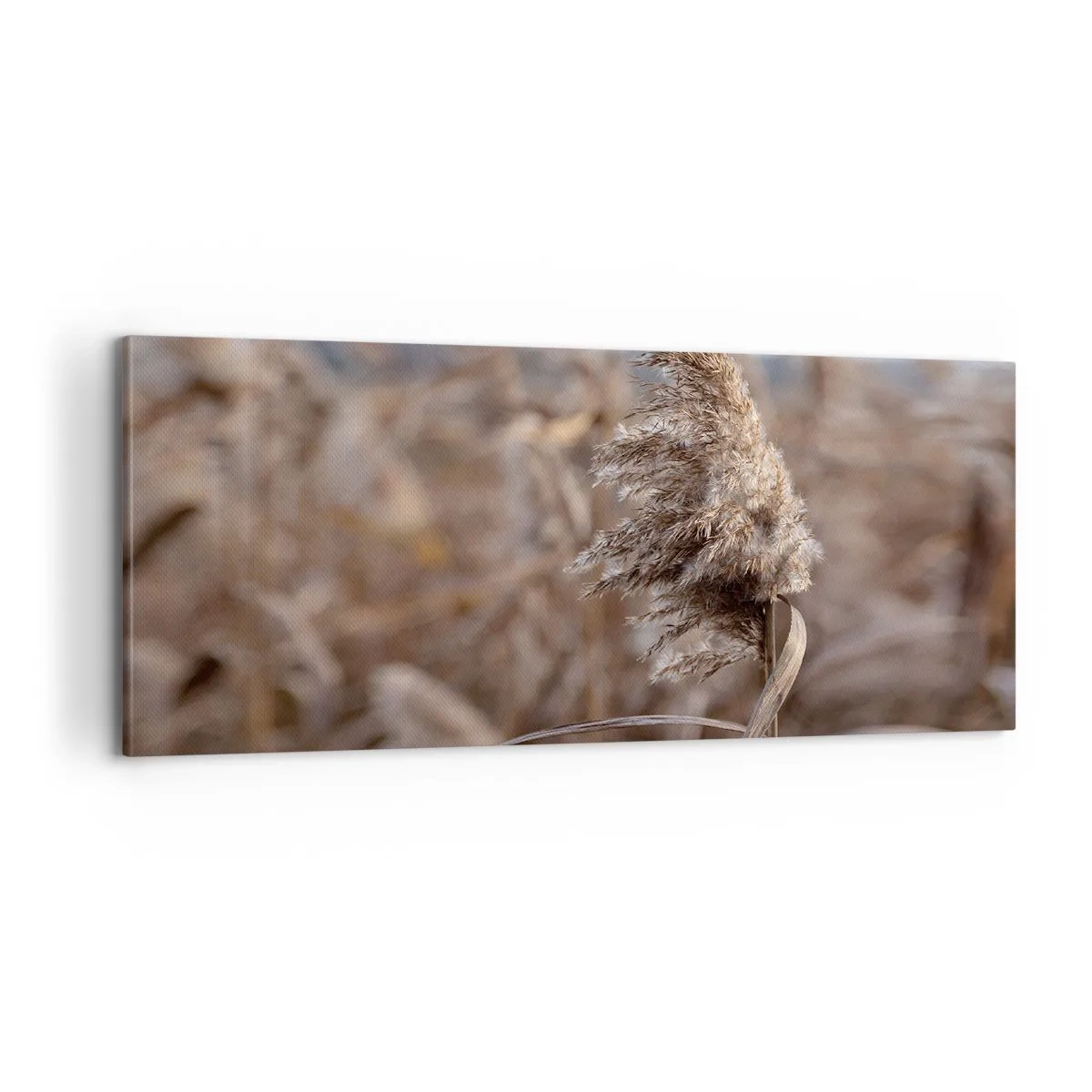 Impression sur toile - Image sur toile - Il est temps de s'envoler avec le vent - 100x40 cm