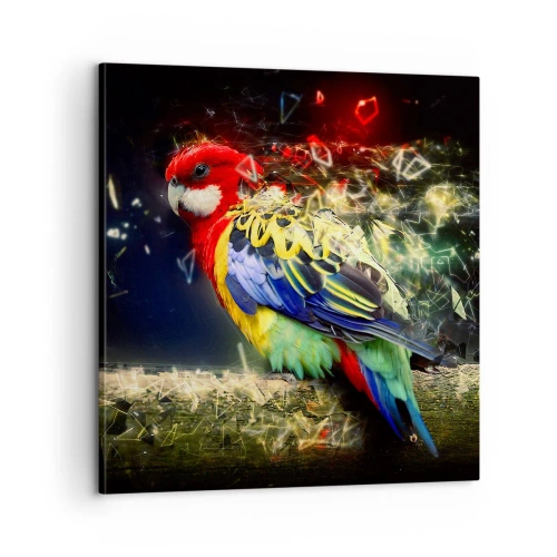 Impression sur toile - Image sur toile - Messager d'éclat - 60x60 cm