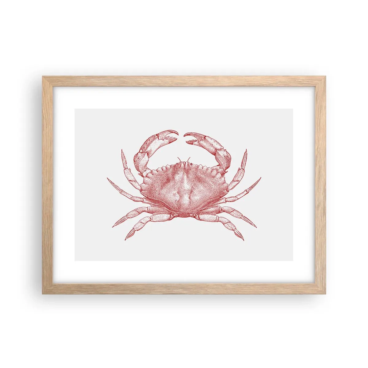 Affiche dans un chêne clair - Poster - Le crabe des crabes - 40x30 cm