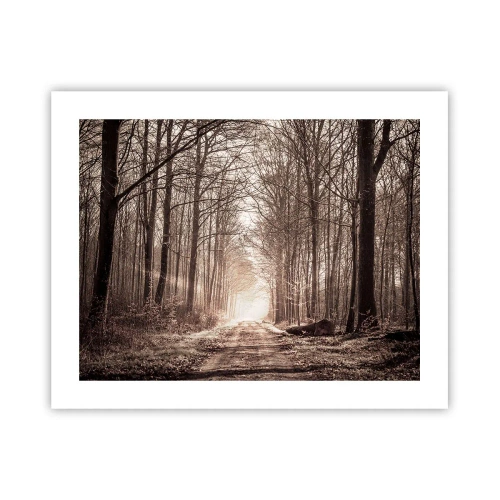 Affiche - Poster - Cathédrale de la forêt - 50x40 cm