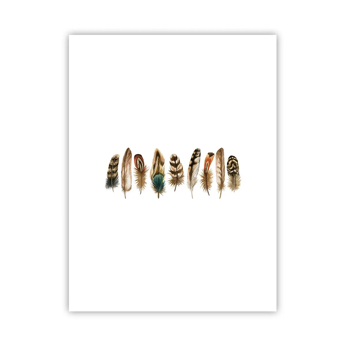 Affiche - Poster - Variation à plumes - 30x40 cm