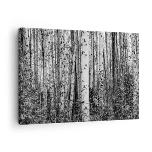 Impression sur toile - Image sur toile - Bouleaux noirs et blancs dans la forêt - 70x50cm - Enchevêtrement de bouleau - Décoration murale moderne pour le salon et la chambre ARTTOR