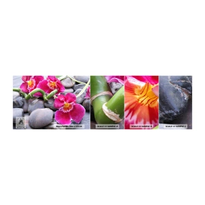Échantillon de Papier Peint Autocollant Deluxe Sticker - Refroidir et chauffer - Fleurs, Des pierres, Orchidée - 100x30 cm