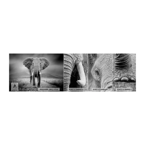 Échantillon de Papier Peint Premium Canvas - Les hôtes vous saluent - Éléphant, Animaux, Paysage - 100x30 cm