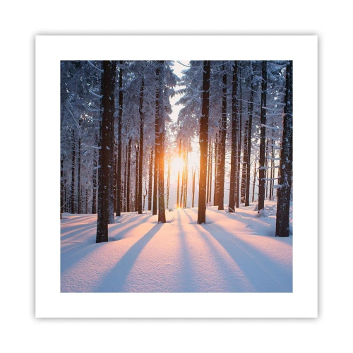 Affiche - Poster - Clairement en noir et blanc - 40x40 cm