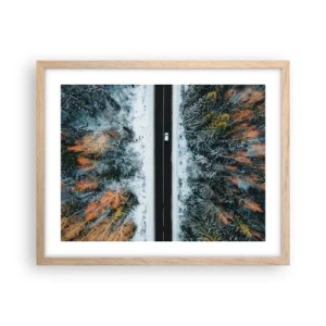 Affiche dans un chêne clair - Poster - Couper à travers la forêt d'hiver - 50x40 cm