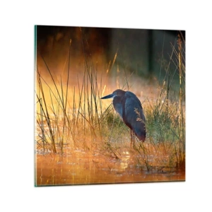 Impression sur verre - Image sur verre - Allez, laissez-moi en paix avec ces photos - 30x30 cm