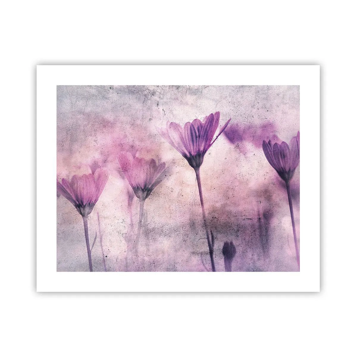 Affiche - Poster - Rêve de fleurs - 50x40 cm