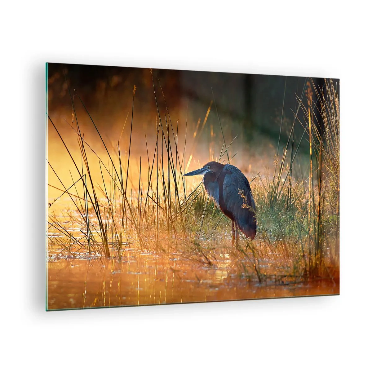 Impression sur verre - Image sur verre - Coucher de soleil sur un lac avec un héron - 70x50cm - Allez, laissez-moi en paix avec ces photos - Décoration murale moderne pour le salon et la chambre ARTTOR