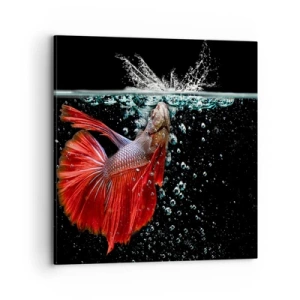 Impression sur toile - Image sur toile - Vous avez trois vœux - 70x70 cm