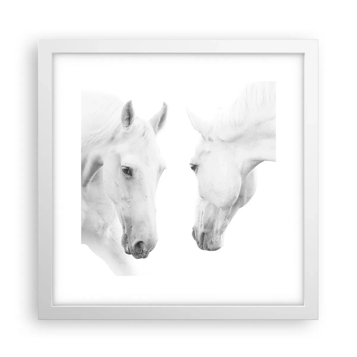 Affiche dans un cadre blanc - Poster - Serait-ce de l’amitié? - 30x30 cm