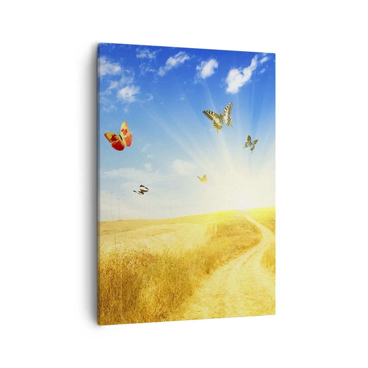 Impression sur toile - Image sur toile - Un champ doré, un chemin et des papillons contre un ciel bleu - 50x70cm - Et comment ne pas aimer l'été ? - Décoration murale moderne pour le salon et la chambre ARTTOR