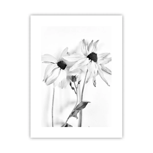 Affiche - Poster - Personne ne souhaite être seul - 30x40 cm