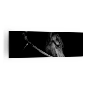 Impression sur toile - Image sur toile - Portrait en noir et blanc d'un cheval avec un jeu subtil de lumière et d'ombre sur un fond sombre. - 160x50cm - Prince Noir - Décoration murale moderne pour le salon et la chambre ARTTOR