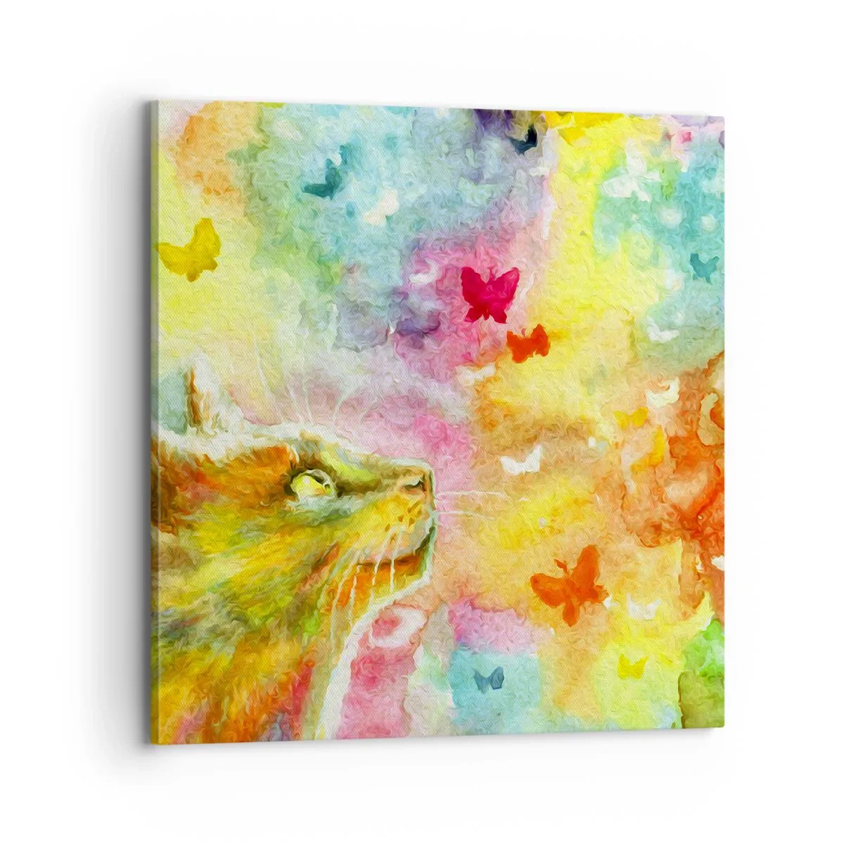 Impression sur toile - Image sur toile - Bayou-bayou au paradis des chats - 70x70 cm