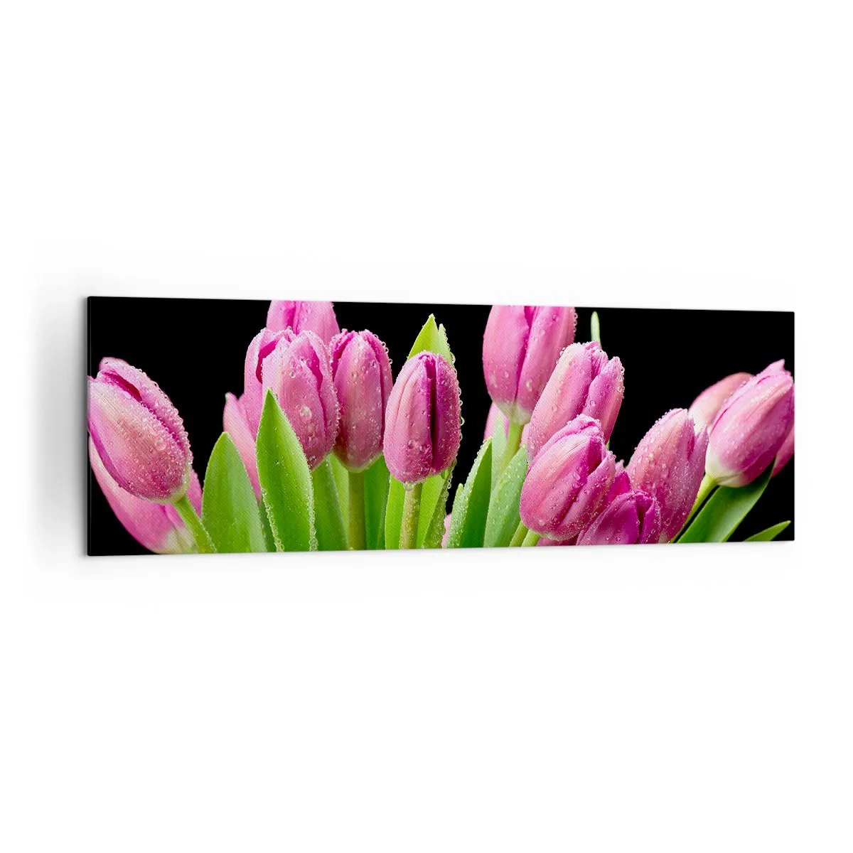 Impression sur toile - Image sur toile - Tulipes roses avec des gouttes de rosée sur fond noir - 160x50cm - Joie printanière des lilas - Décoration murale moderne pour le salon et la chambre ARTTOR