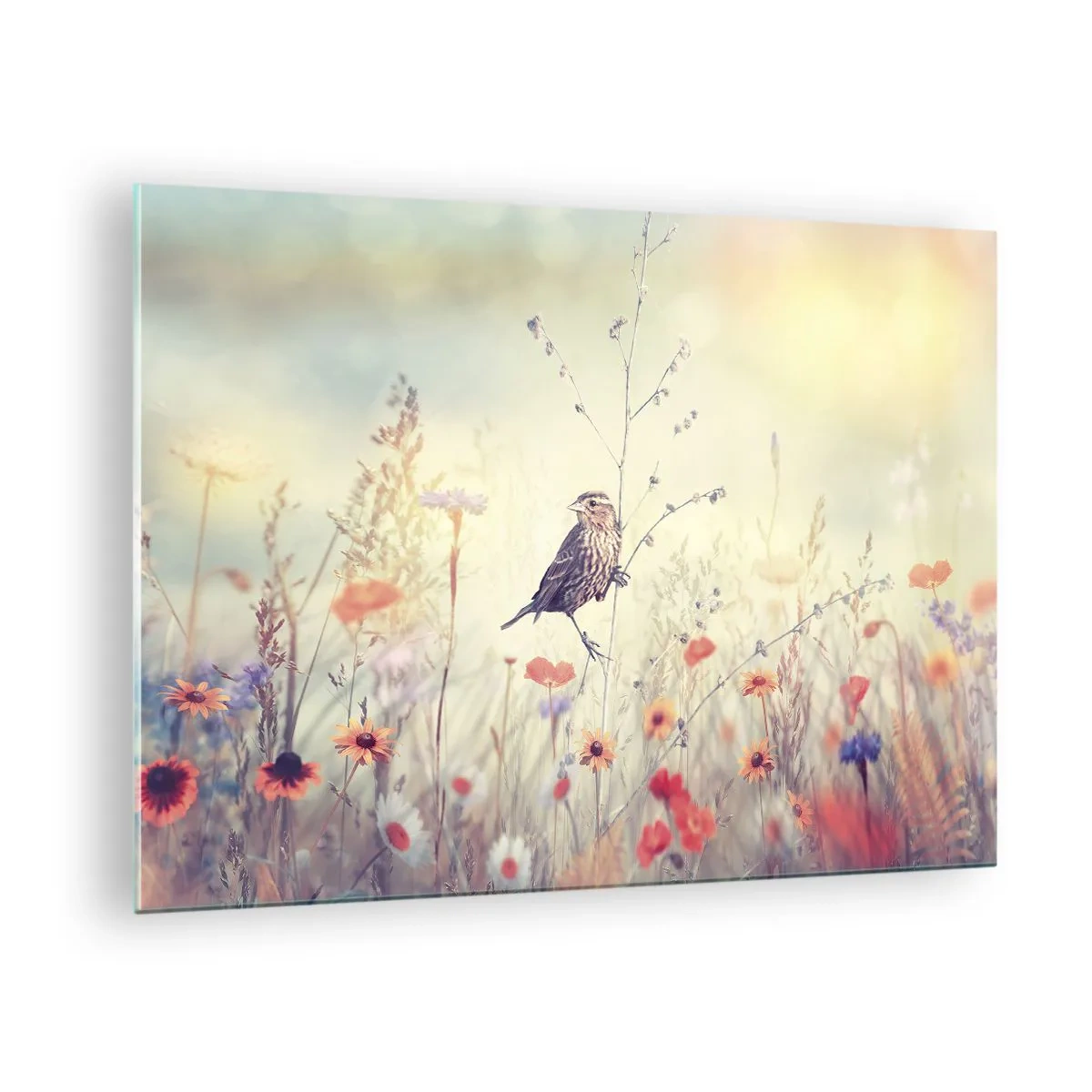 Impression sur verre - Image sur verre - Un oiseau dans une prairie fleurie au soleil - 70x50cm - Portrait d'oiseau sur pré en fond - Décoration murale moderne pour le salon et la chambre ARTTOR
