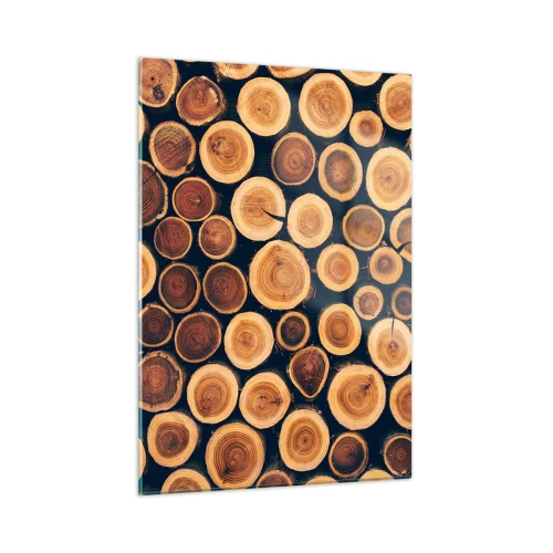Impression sur verre - Image sur verre - Vue de troncs d'arbres coupés disposés en rangée - 50x70cm - Quel âge je semble avoir ? - Décoration murale moderne pour le salon et la chambre ARTTOR